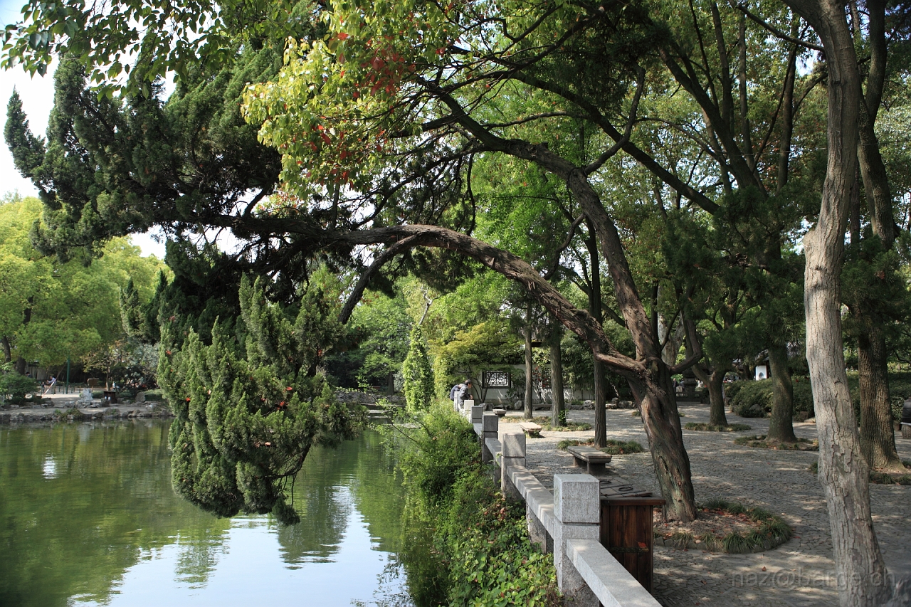 EOS 5D Mark II19_04_20135698.JPG